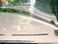 Reflets genants en sous-bois, sur Picasso